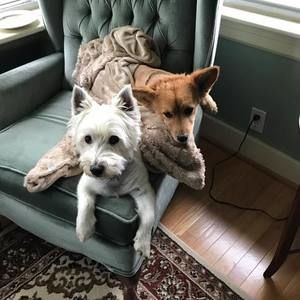 Meet your Posher, Erin